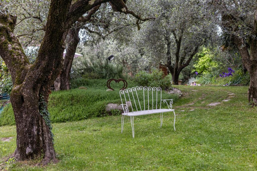 Agriturismo della Pieve Bardolino - 5