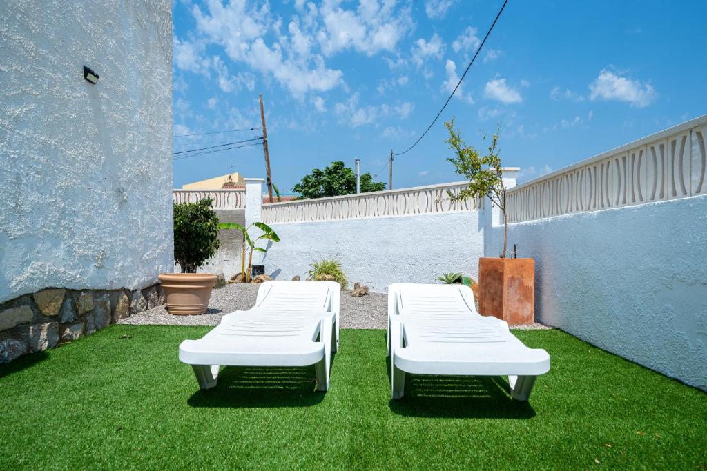 Palmera - 2