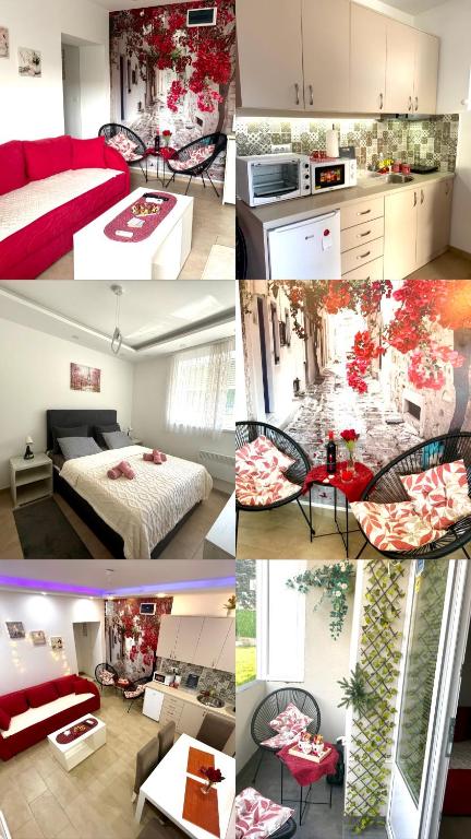 Apartman Petra Sokobanja - 1
