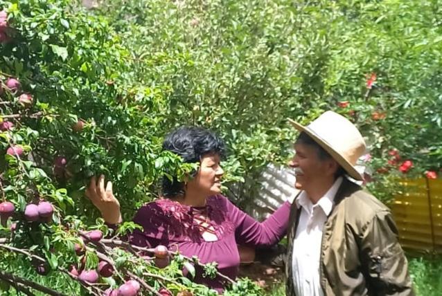 Casa de Mama Valle - Urubamba - 2