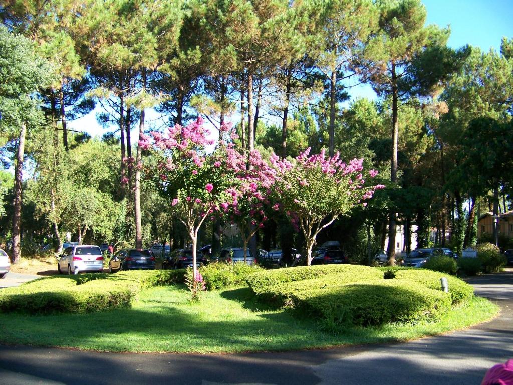 Domaine de Pinsolle - 5