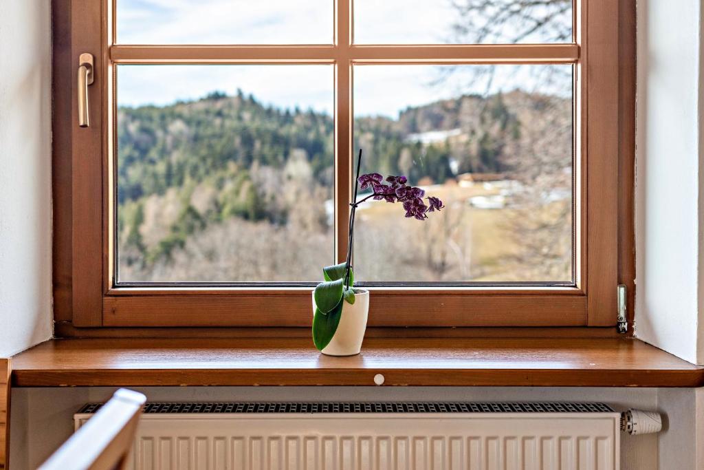Alpin Farm Linde - Oberweidacherhof - 5