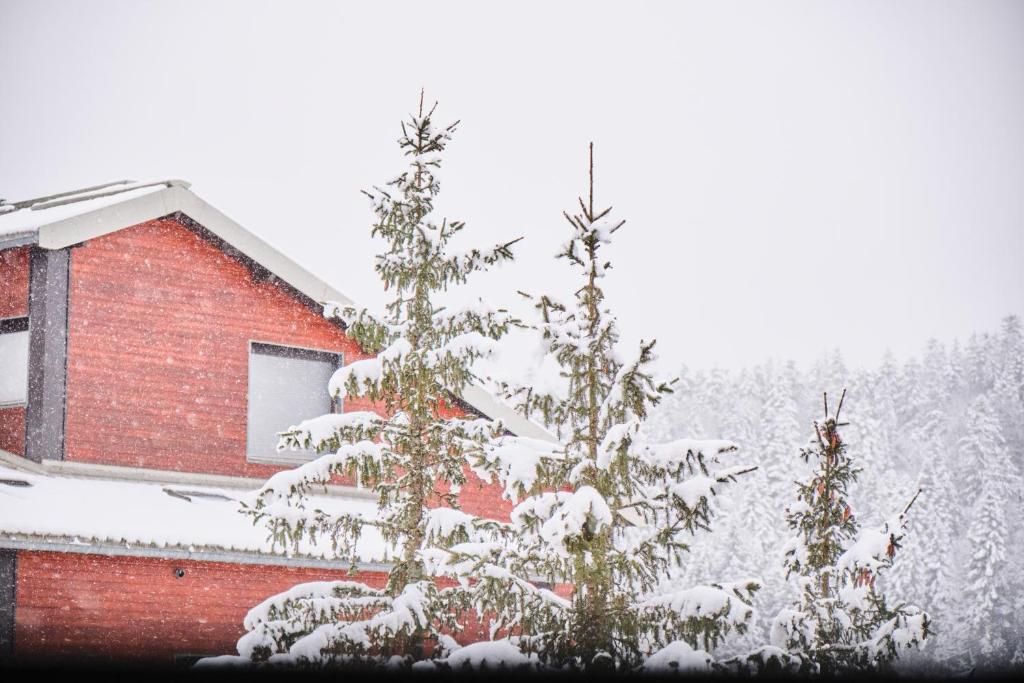 Studio Herbouilly - Vercors - 3