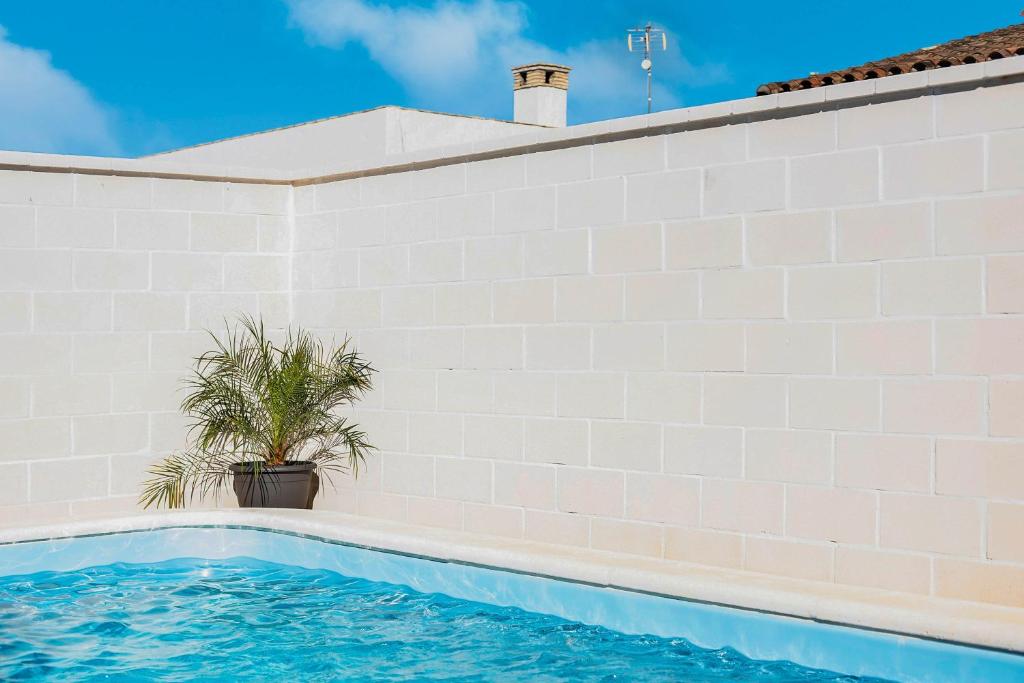 Casa Pablo - 3