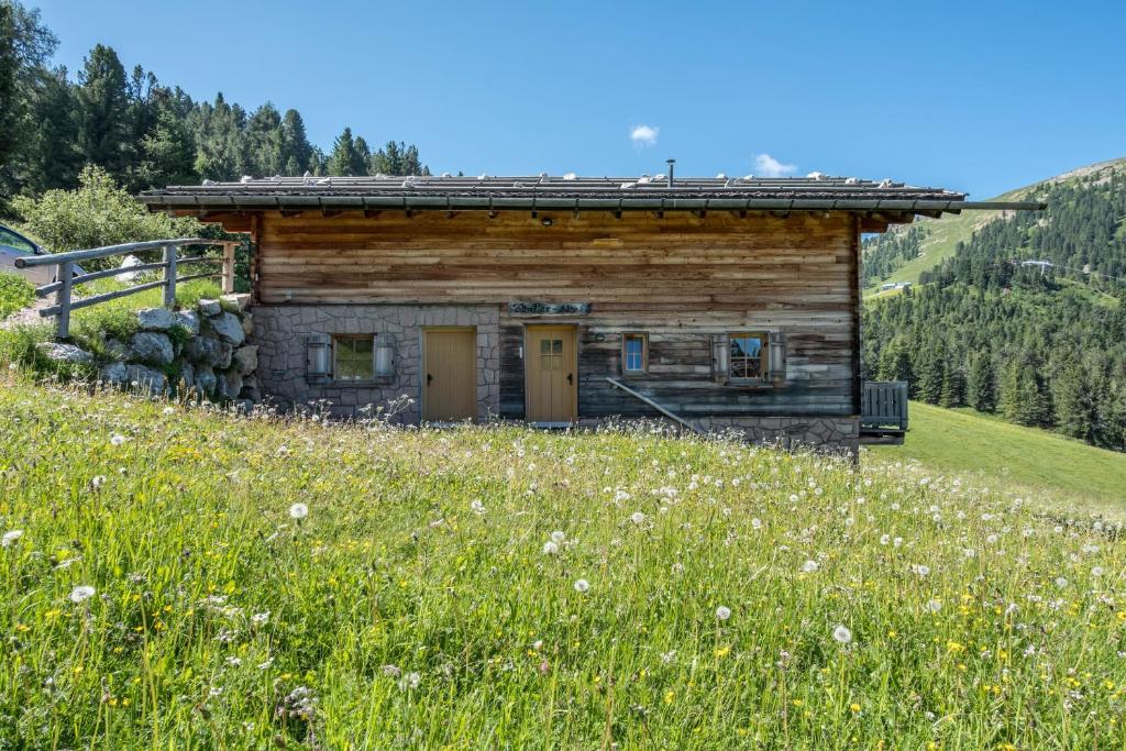 Thaleralm - 4