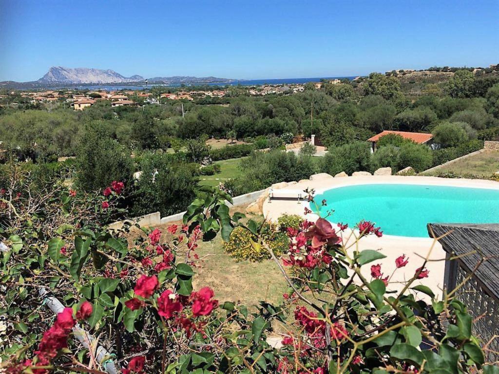 Villa Panorama - 4