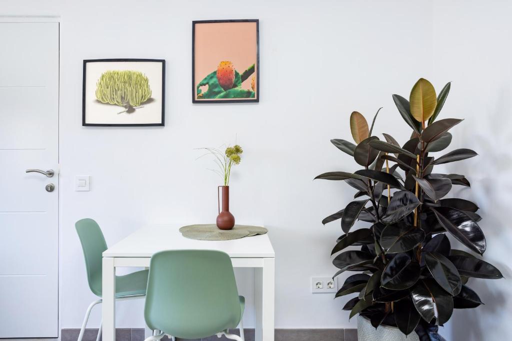 Minimalist Home La Pecera - 2