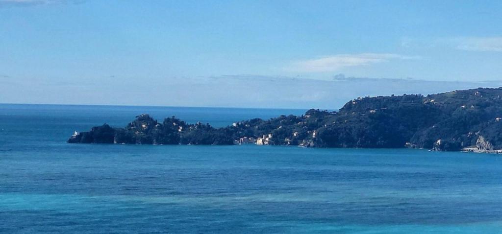 Ocean Blue - 3