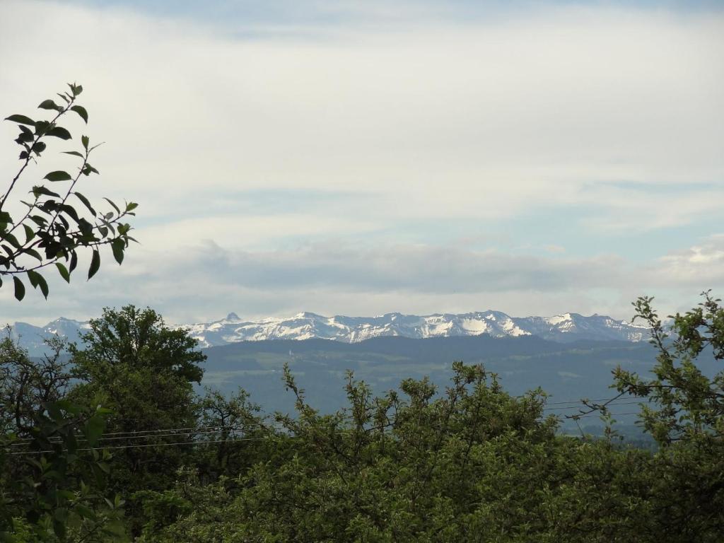 Ferienwohnung Bergblick - 2