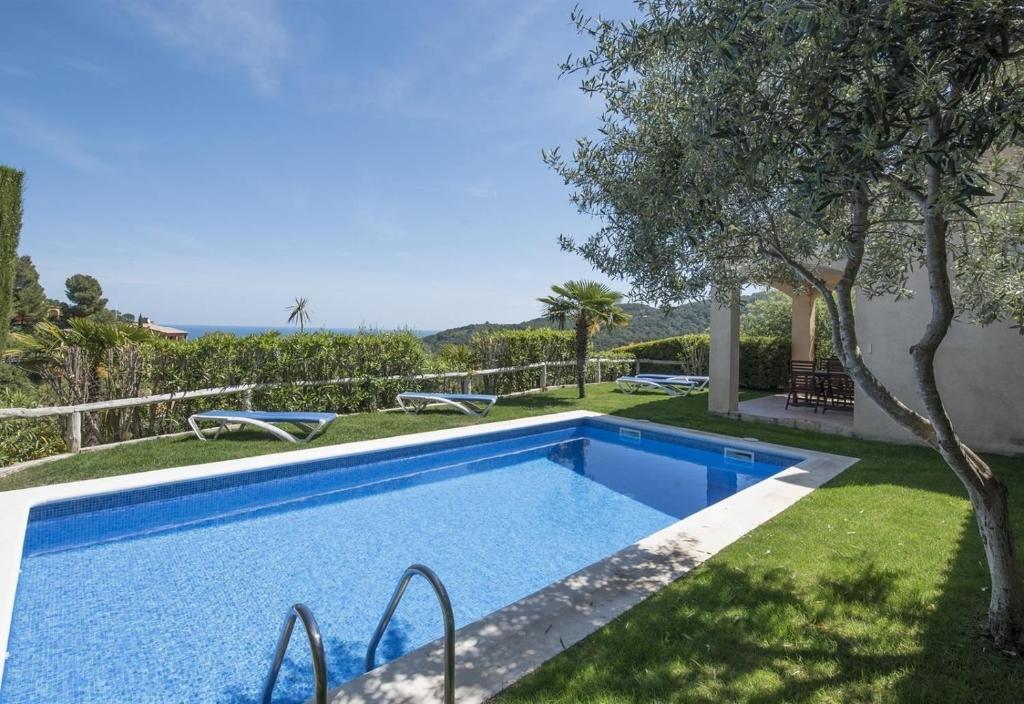 Flor Begur - 1
