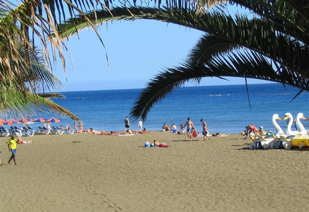 Las Tabaibas - 4