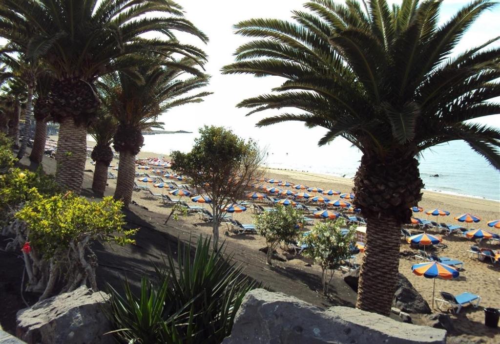Las Tabaibas - 5