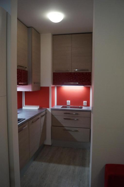 Apartments Klinovec photo