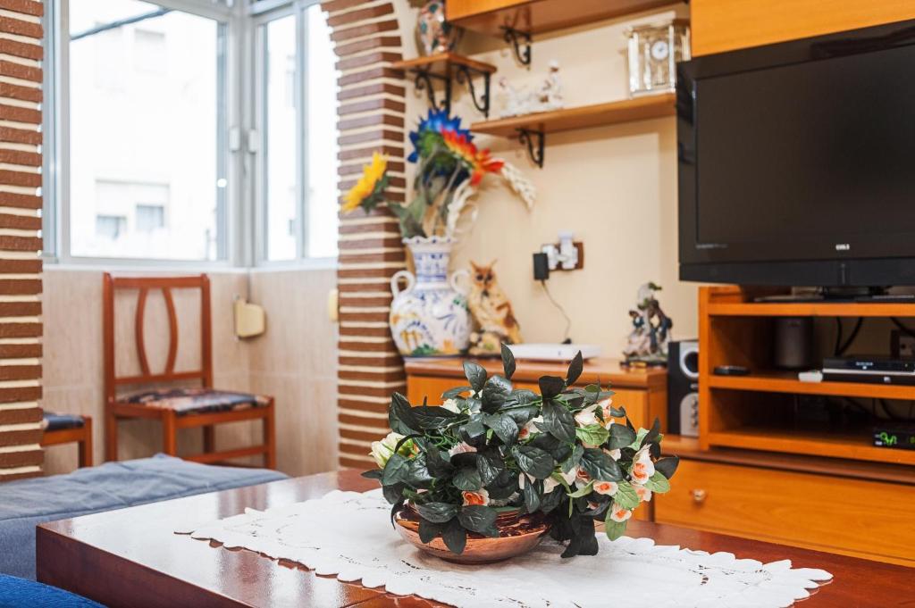 Apartamento Oliva - 5