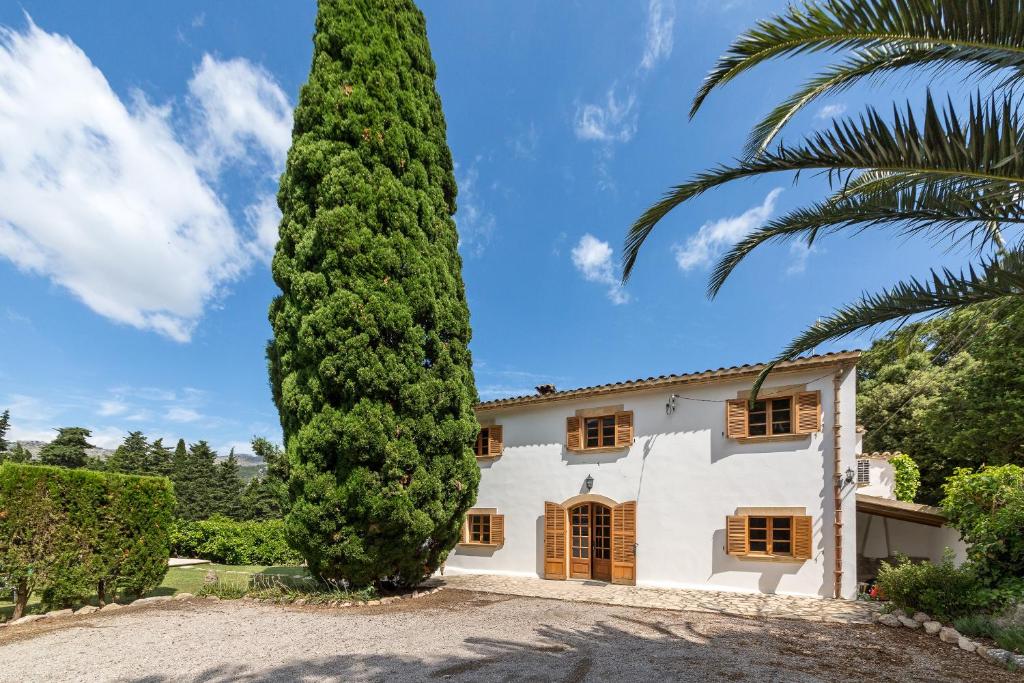 Villa La Plana - 4