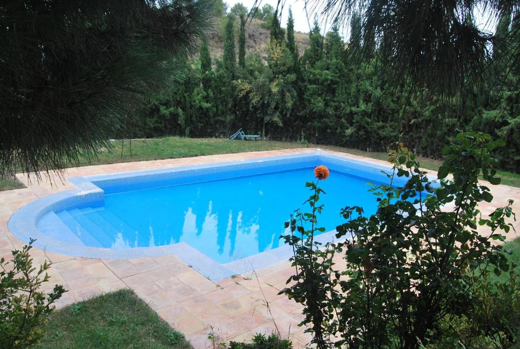 Ecoagroturismo Las Nieves - 2