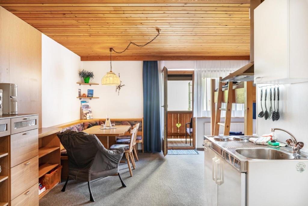 Studio Hochzillertal mit Sauna - 3