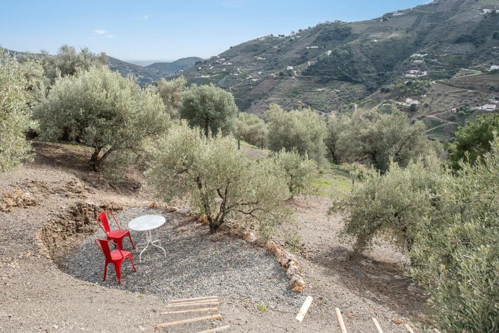 Finca Aguaillo - 3