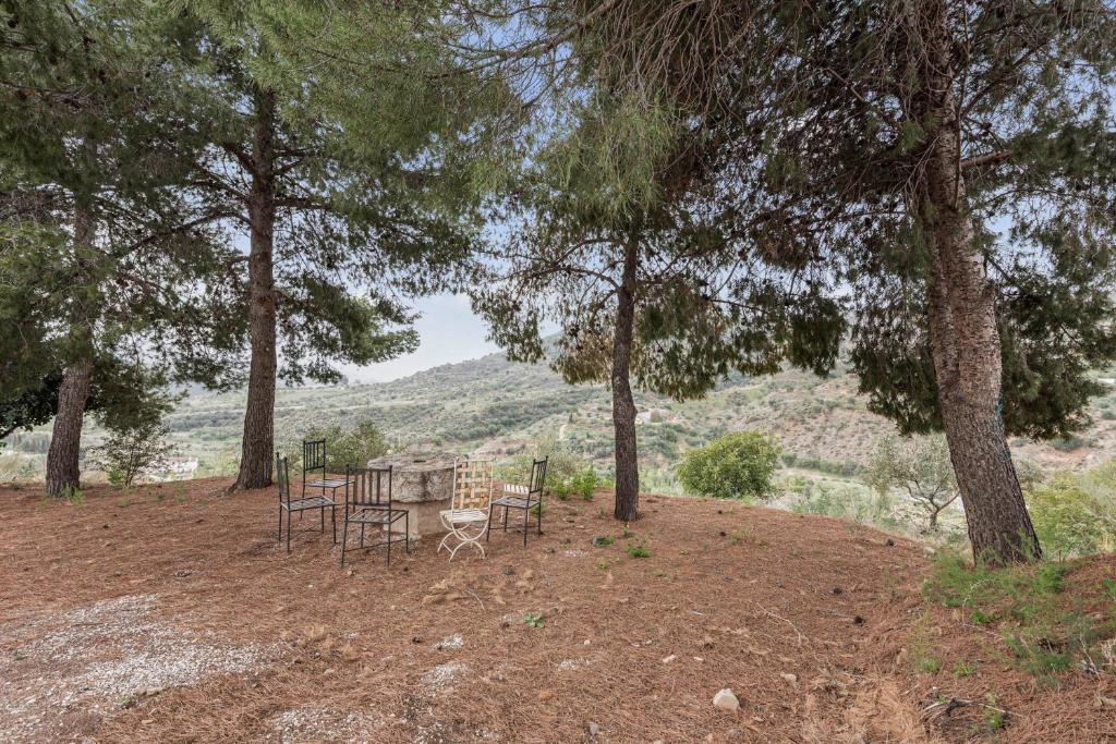 Finca Llano de Fe - 3
