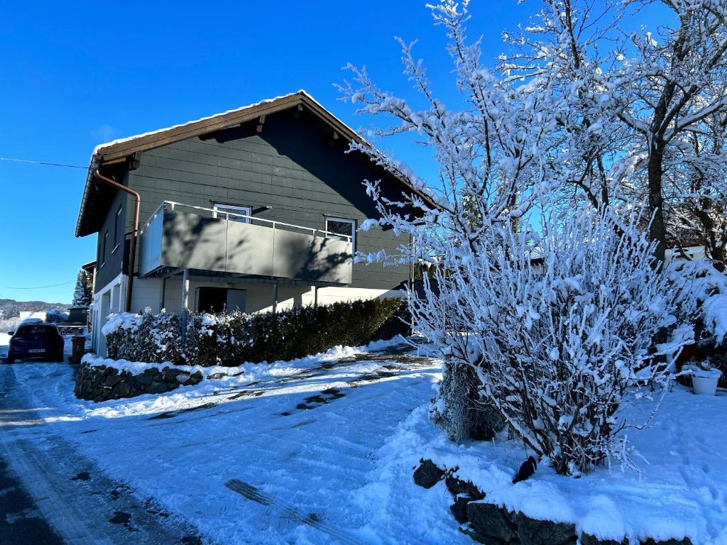 Ferienhaus Frank Grieser - 3