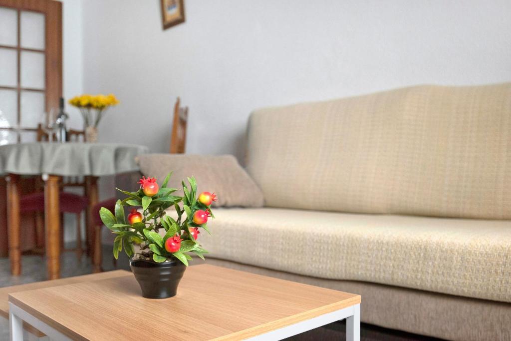 Apartamento Ruz Bajo - 2