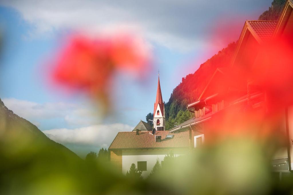 Alpenblick Nr 8 - 3