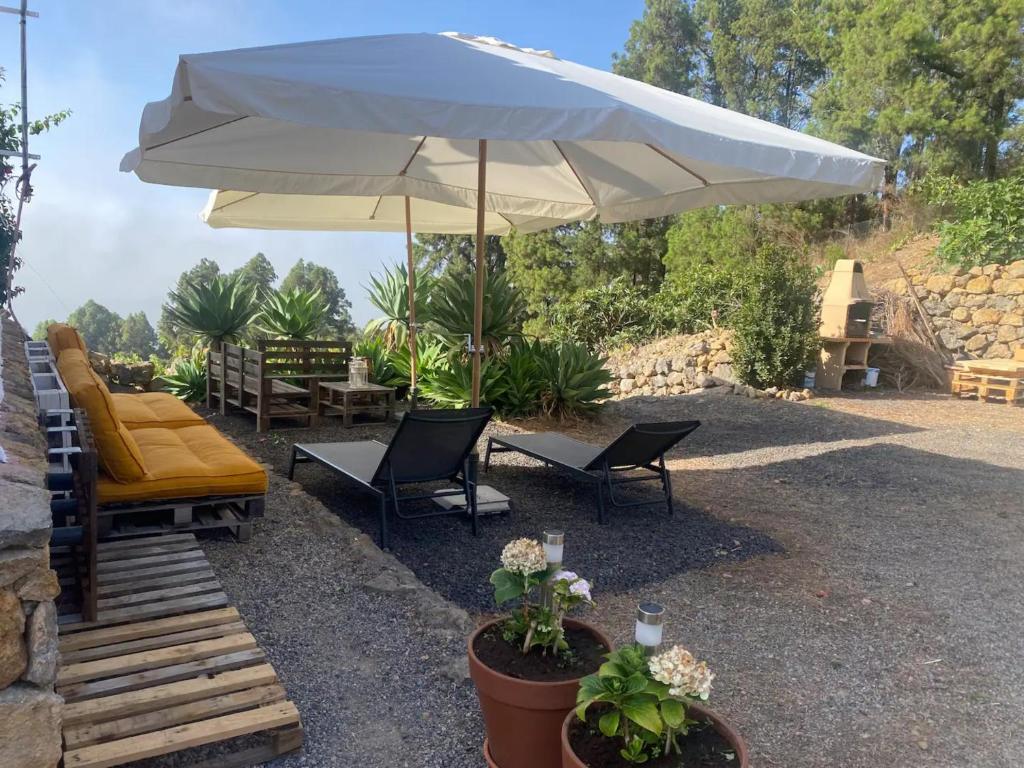 Casa Regina - 5