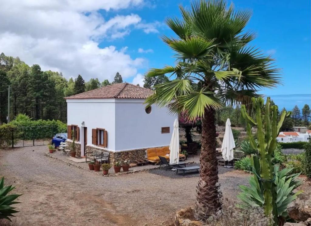 Casa Regina - 4