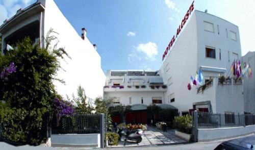 Hotel Alceste photo