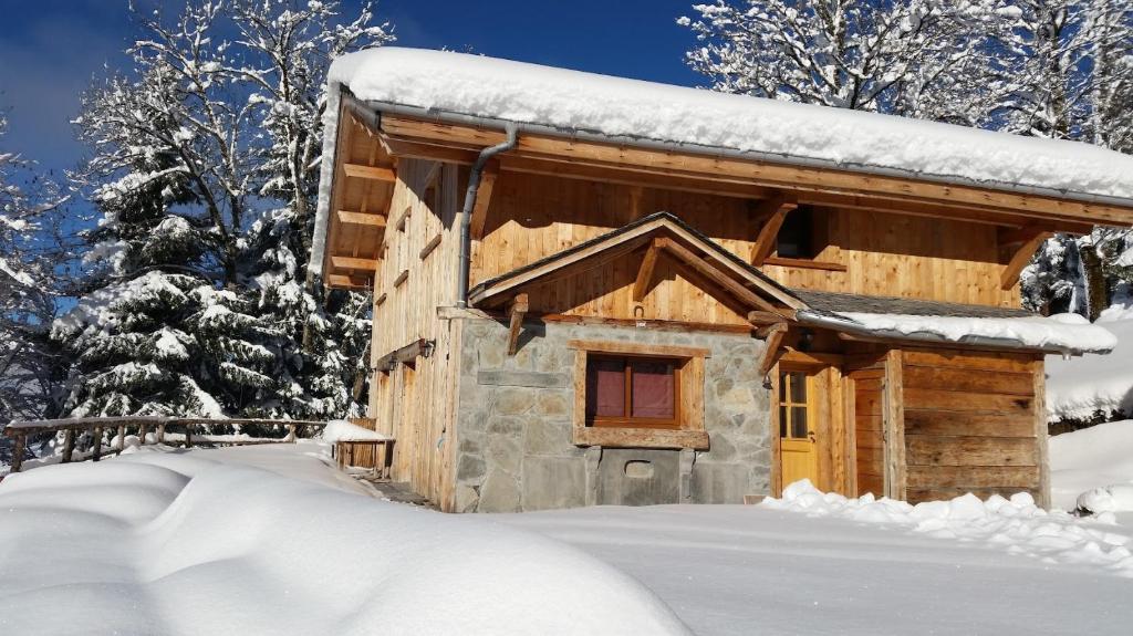 Morzine Panoramic - 1