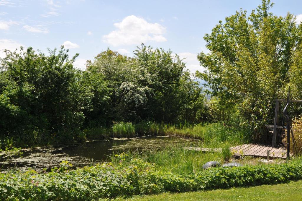 Allpano Pension und Ferienwohnungen - 4