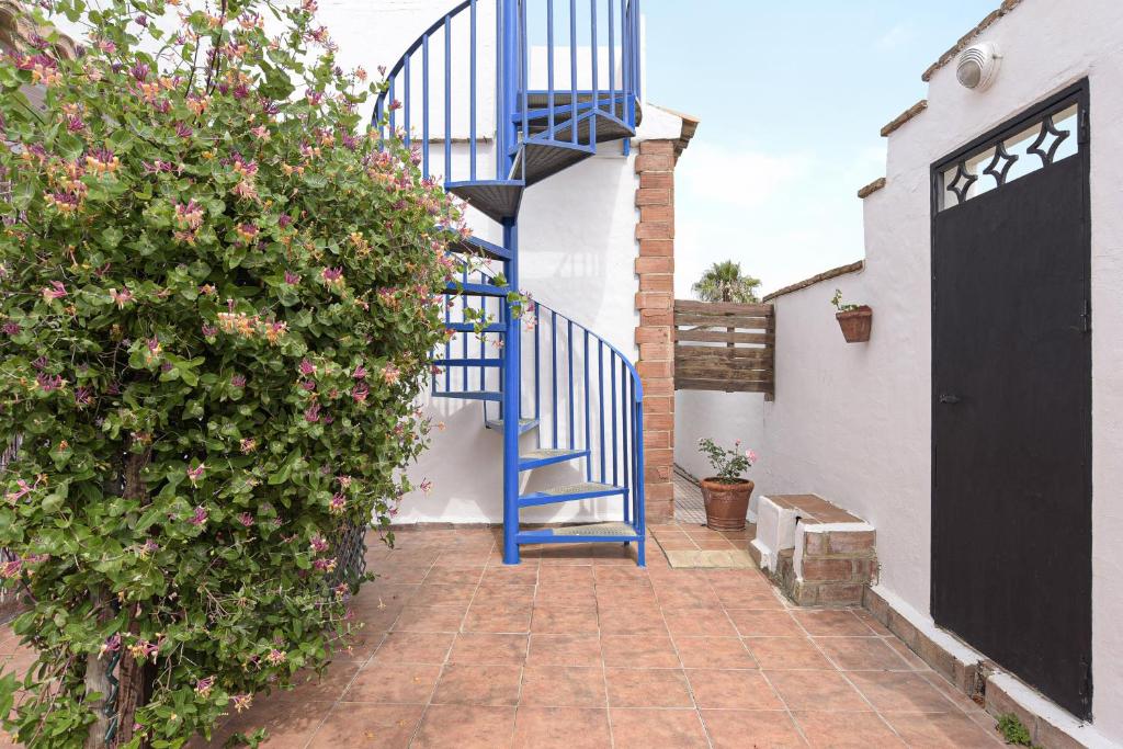 Apartamento Villa Mayo C - 3