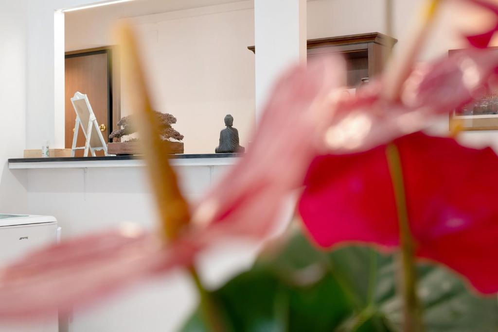 Ohana Bnb - 4