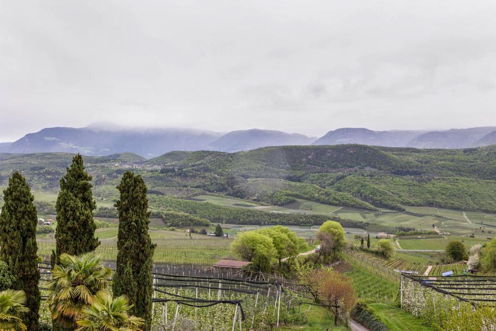 Weingut Lieselehof Apt Panorama - 3