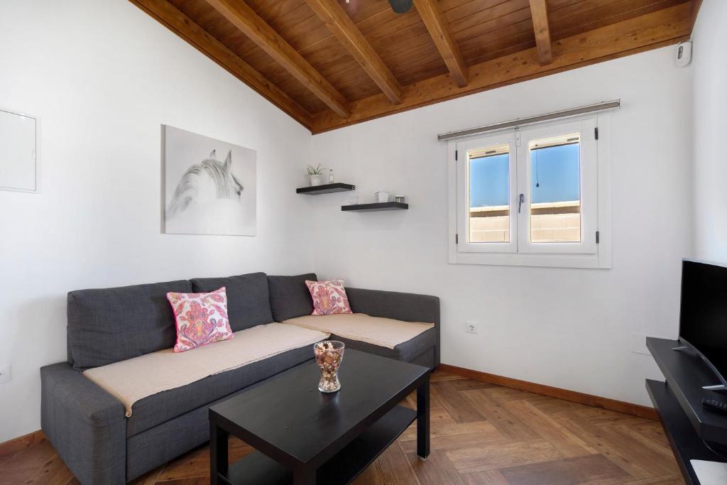 Villa Novo Sancti Petri - 4
