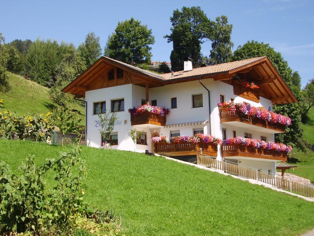Boznermüllerhof - Geranie - 1