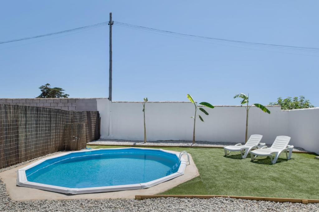 Estudio el Mirlo - 2