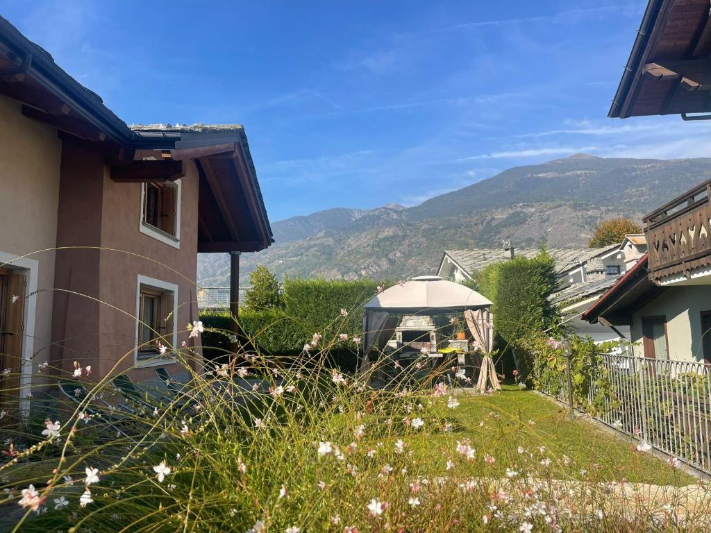 Au Petit Chevrot - Garden - 1