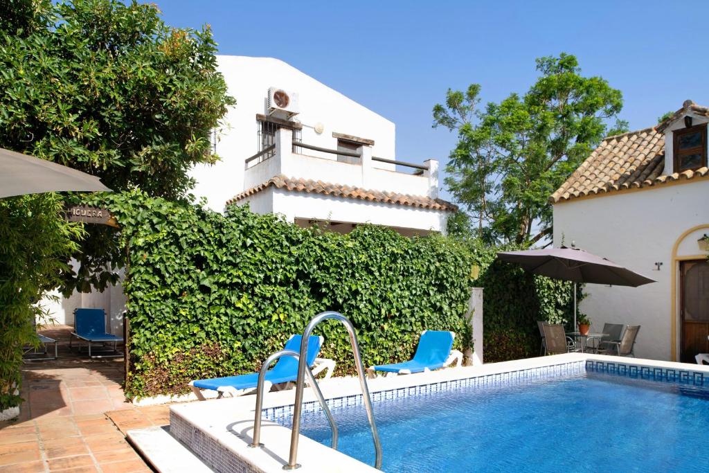 Estudio El Olivo - 1