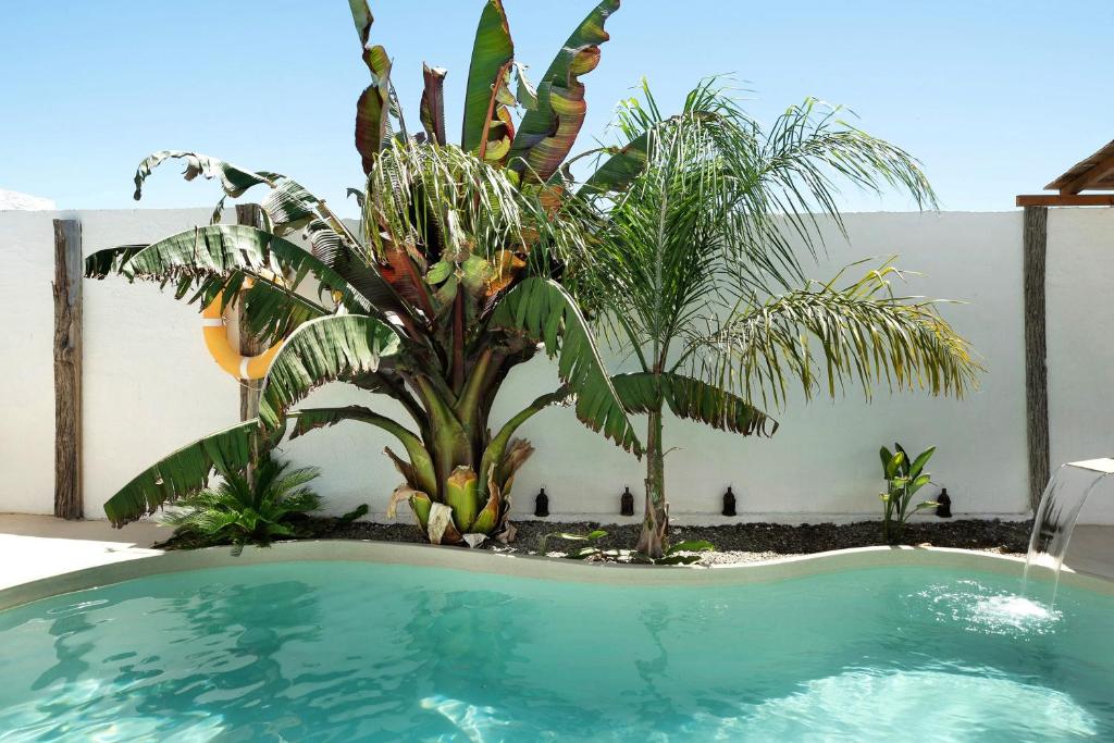 Villa Casa Blanca - 3