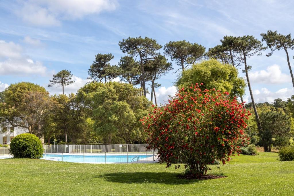 T3, piscine, jardin, proche golf - 4