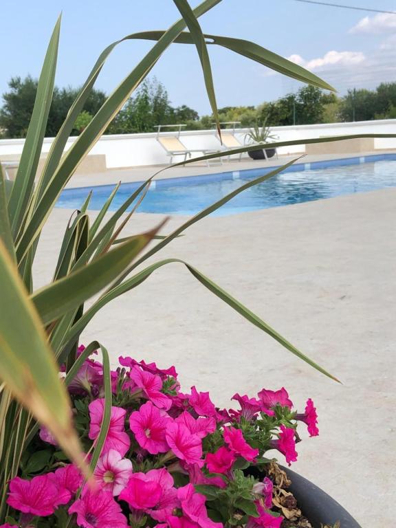 Villa Bianca N F - 3