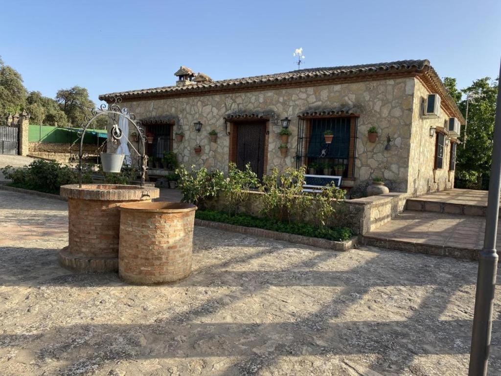 Finca olivar el pino - 2