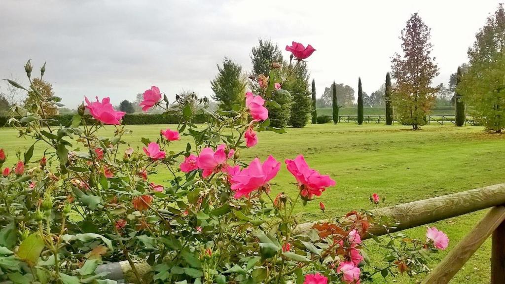 The Pink Country House - 2
