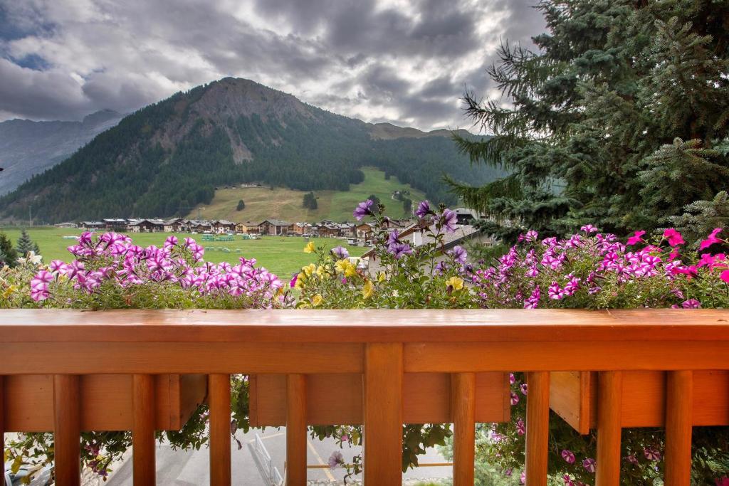 Villa Nordica Aurora - 4