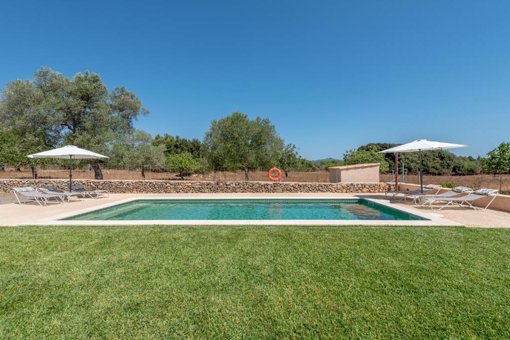 Finca Laurel - 5