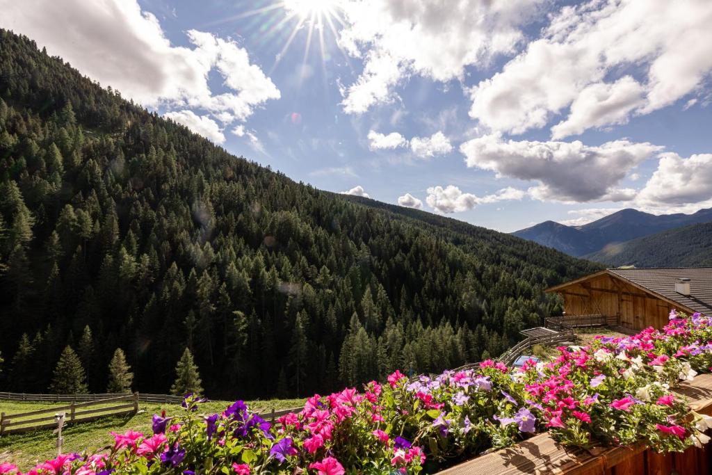 Apt Bergblick Hinterproslhof - 3