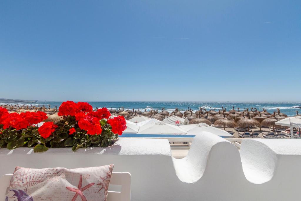 Superb Large Apartment on the Beach - 5