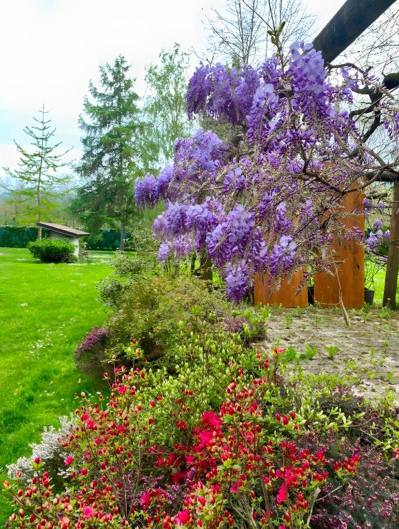 Alpi Liguri - Villa Giulia - 4