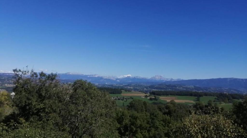 Les Bellevues - 5